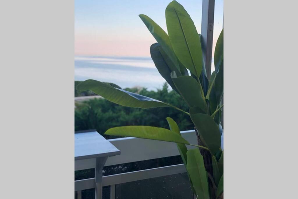 Charmant Studio Avec Terrasse Vue Mer A 50 M سانت ماكسيم المظهر الخارجي الصورة